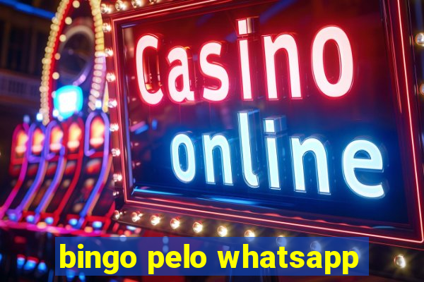 bingo pelo whatsapp